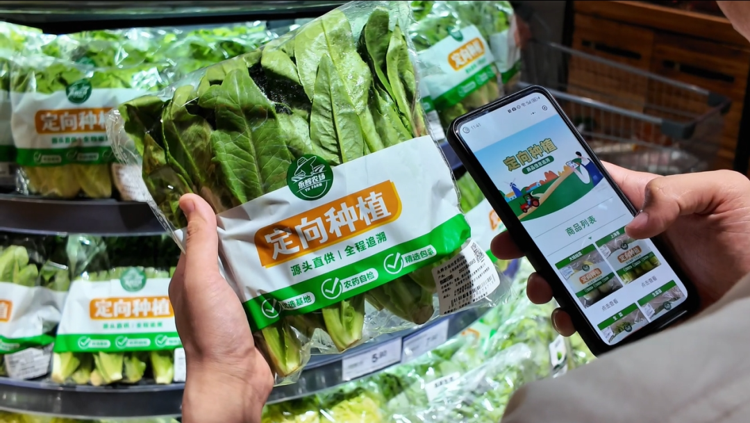 首页- 不朽情缘电子游戏官网
