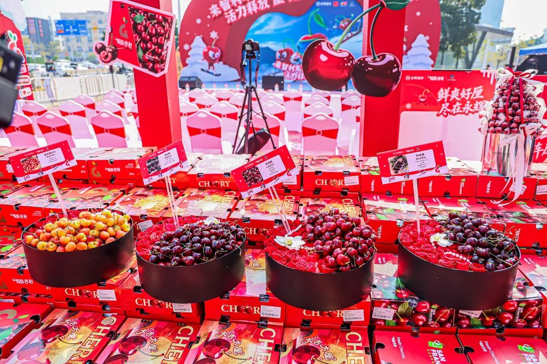 首页- 不朽情缘电子游戏官网