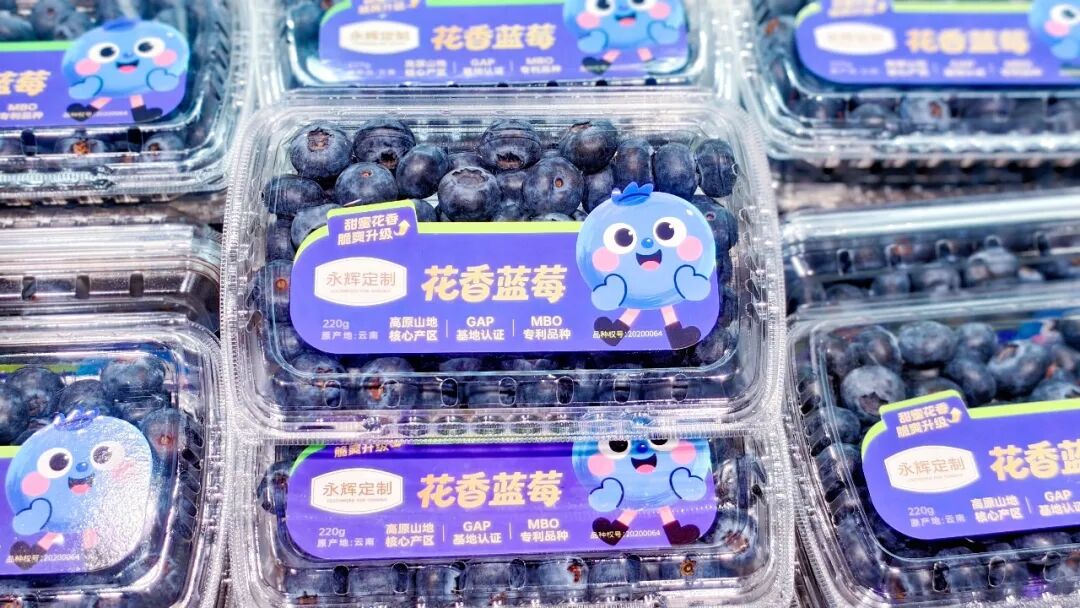 首页- 不朽情缘电子游戏官网