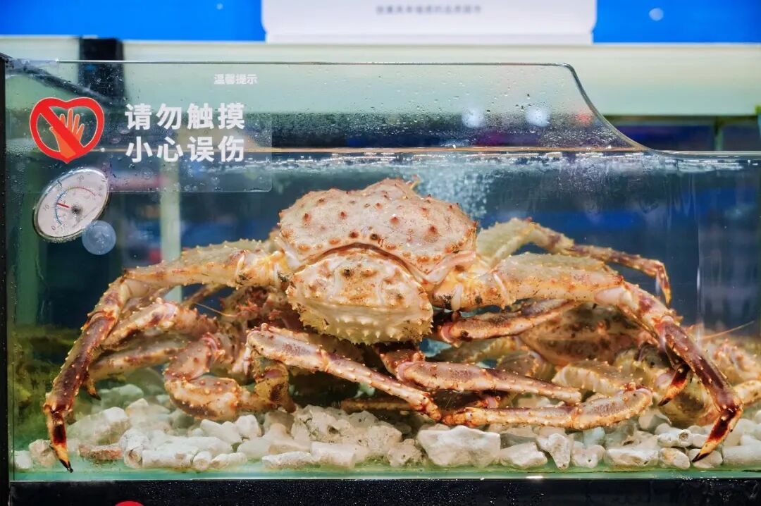 首页- 不朽情缘电子游戏官网