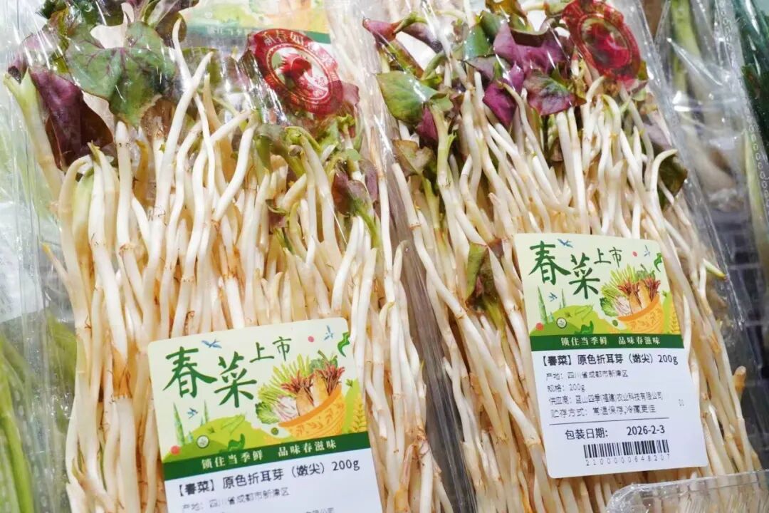首页- 不朽情缘电子游戏官网