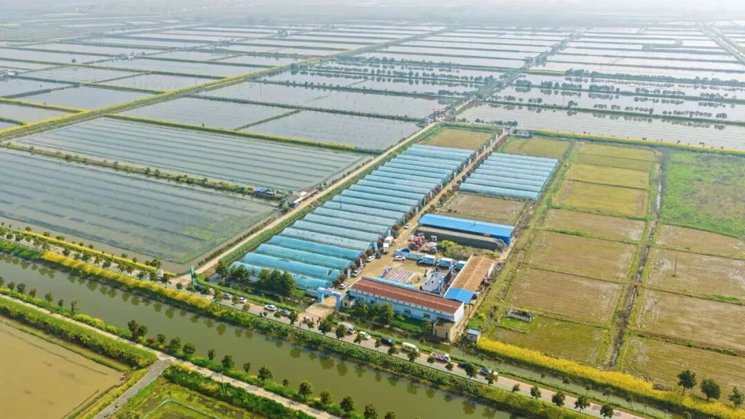首页- 不朽情缘电子游戏官网
