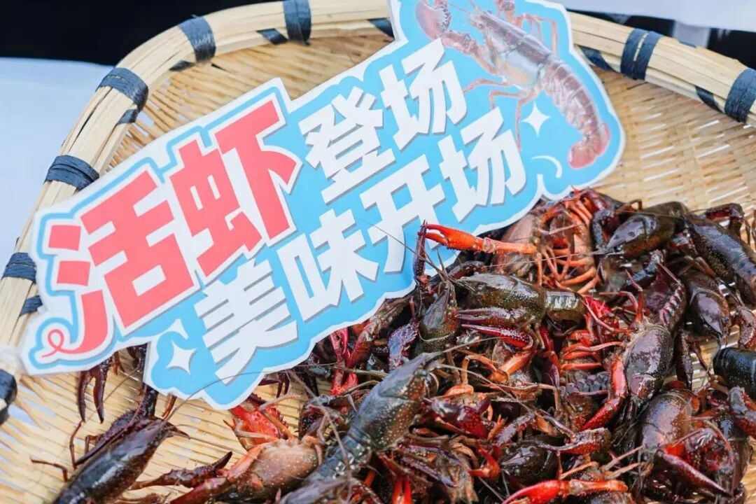 首页- 不朽情缘电子游戏官网
