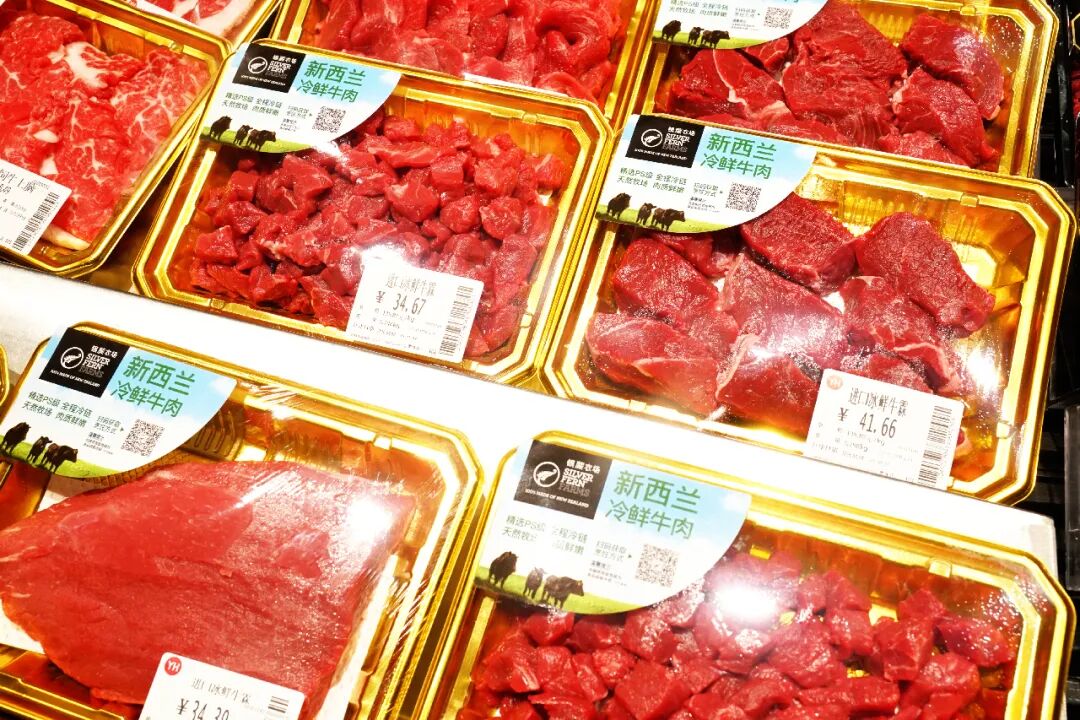 首页- 不朽情缘电子游戏官网