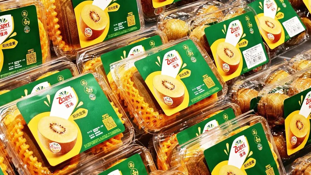 首页- 不朽情缘电子游戏官网