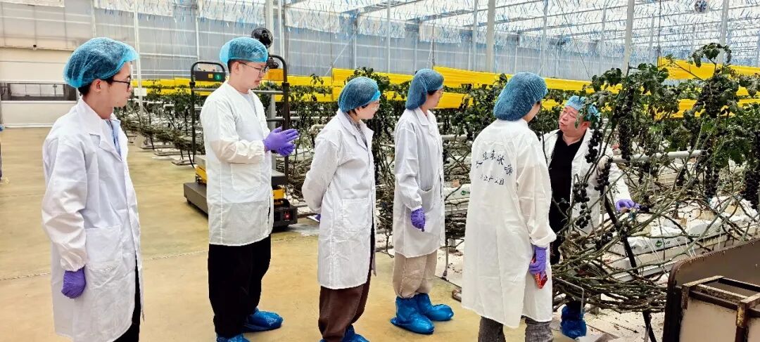 首页- 不朽情缘电子游戏官网