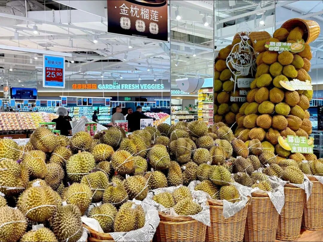 首页- 不朽情缘电子游戏官网