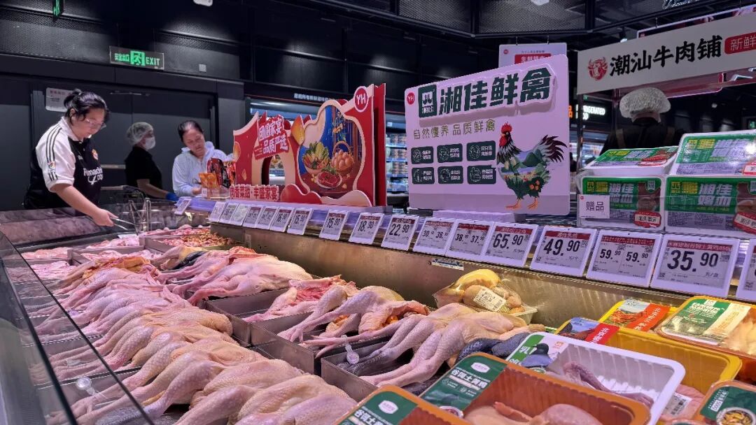 首页- 不朽情缘电子游戏官网