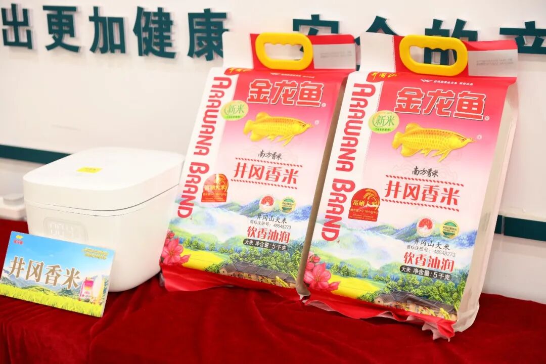 首页- 不朽情缘电子游戏官网