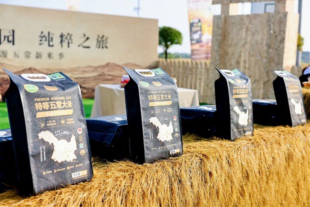首页- 不朽情缘电子游戏官网