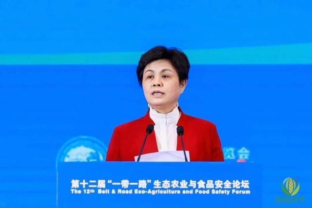 首页- 不朽情缘电子游戏官网