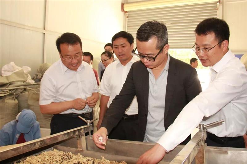 首页- 不朽情缘电子游戏官网