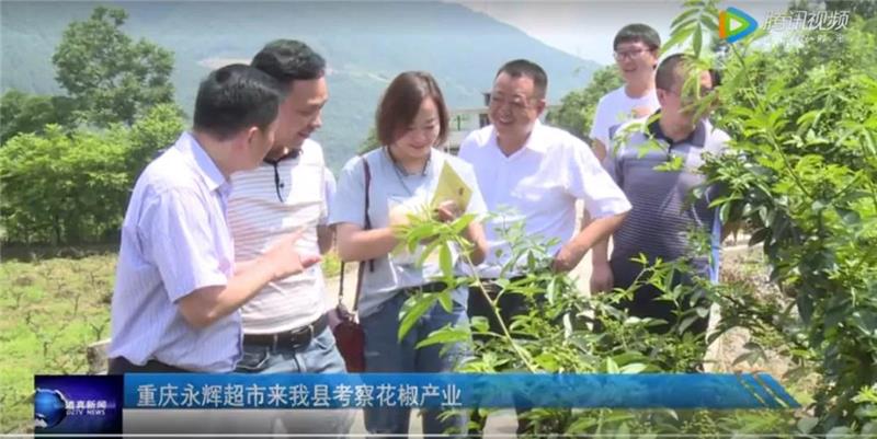 首页- 不朽情缘电子游戏官网