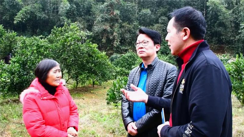 首页- 不朽情缘电子游戏官网