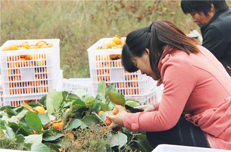 首页- 不朽情缘电子游戏官网